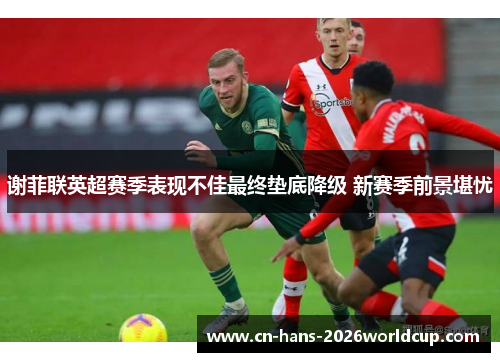 谢菲联英超赛季表现不佳最终垫底降级 新赛季前景堪忧